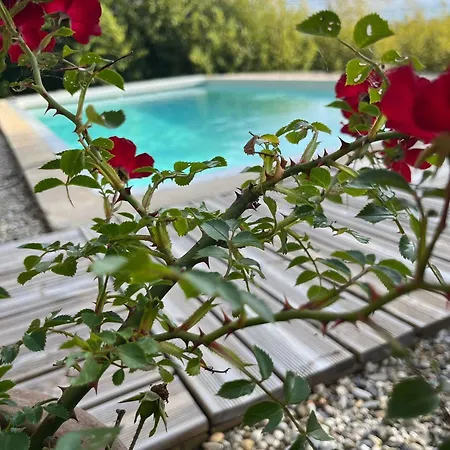 Le Chant Des Cigales B&B